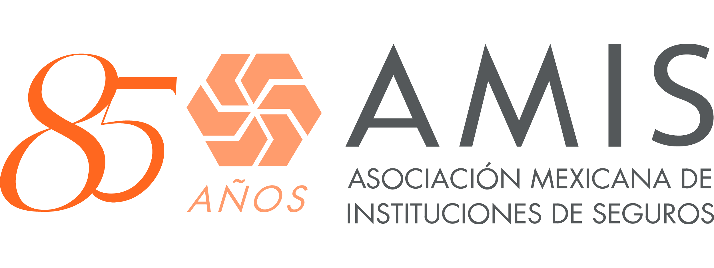Logotipo Asociación Mexicana de Instituciones de Seguros